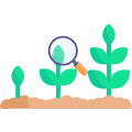 health plant
