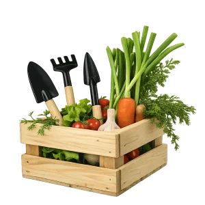 محصولات خانگی